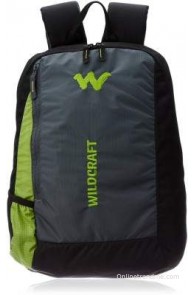 Wildcraft 15 inch Laptop Backpack(Green01)